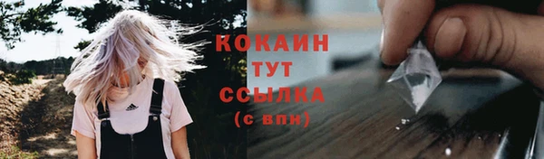 прущий лед Богородицк