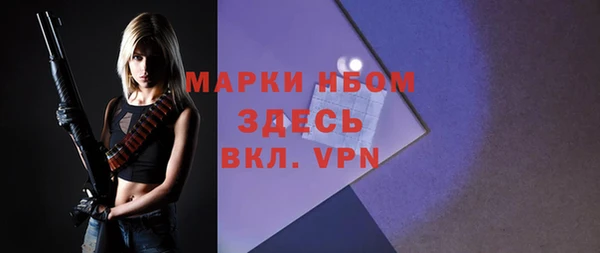 прущий лед Богородицк