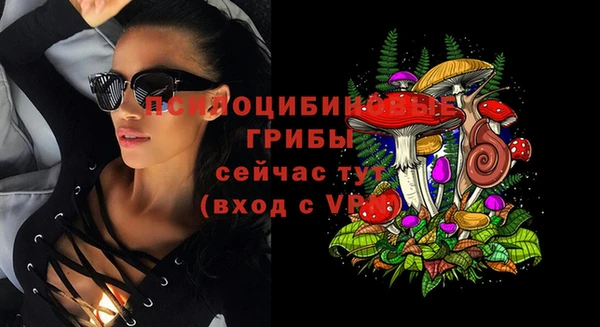 гашик Богородск