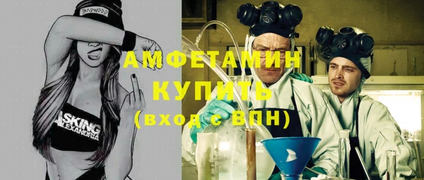 амф Бородино